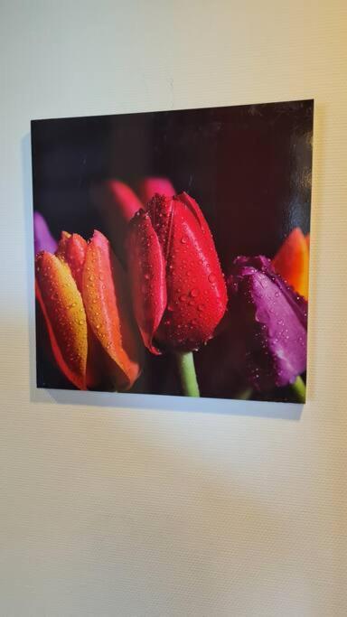 Oude Meesters Bolsward Esterno foto